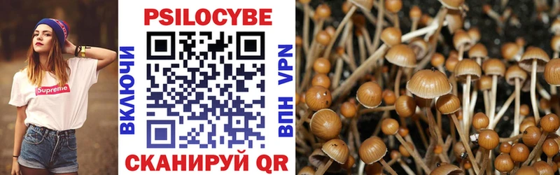 Галлюциногенные грибы мухоморы  Козловка 