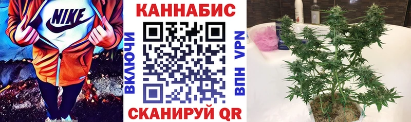 Бошки марихуана OG Kush  Козловка 
